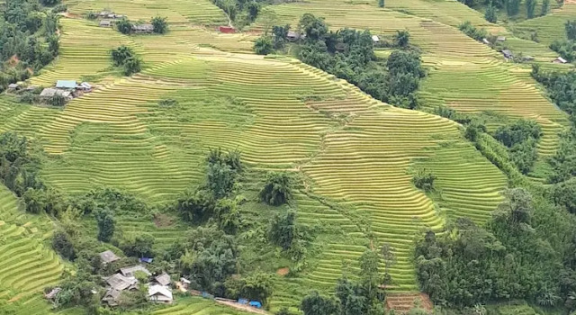 Thuan Ha Hotel Sapa, Забронировать Отель Шапа Лаокай, рядом с Рынок Сапа