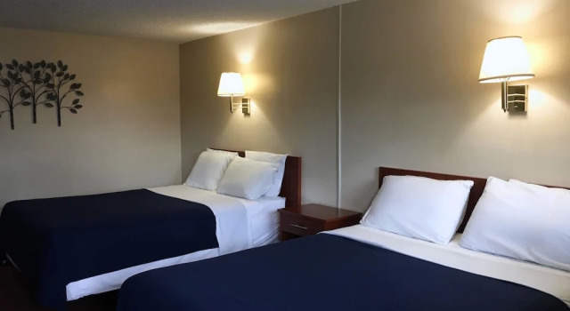 Номер Standard Swiss Cottage Inn