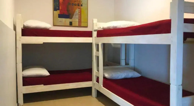 Кровать в общем номере The Trip Hostel