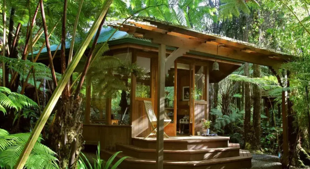 Номер Standard Volcano Rainforest Retreat