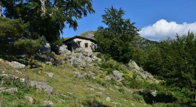 Коттедж Villa Cosy avec piscine privative