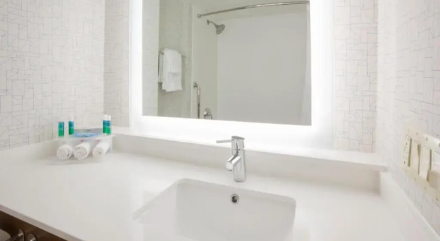 Run of House Holiday Inn Express Roseville-St. Paul by IHG