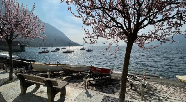 Il sole di calde Lago maggiore 504, Rezervați Apartament Castelveccana 