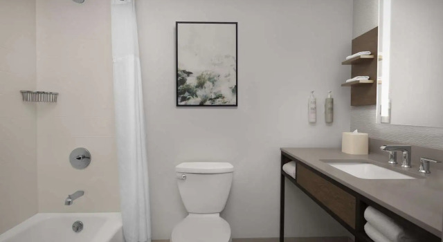 Четырёхместный номер Standard Hilton Garden Inn Casper