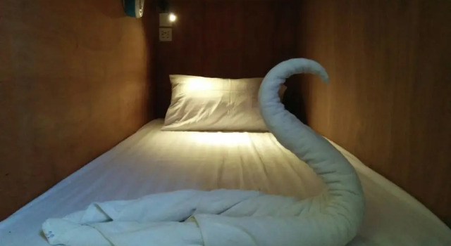 Кровать в общем номере Gecko Republic Jungle Hostel