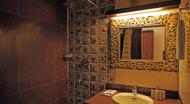Номер Premium The Neeraj Ganga Heritage Palace