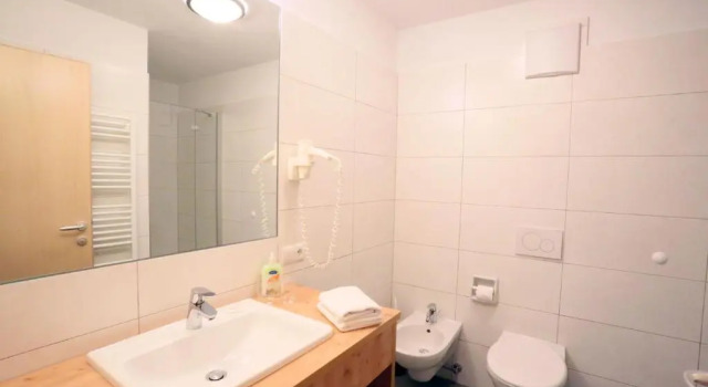Апартаменты c 1 комнатой Apartment Pichlerhof
