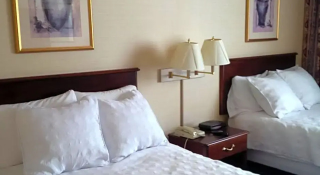 Четырёхместный номер Standard Maron Hotel & Suites