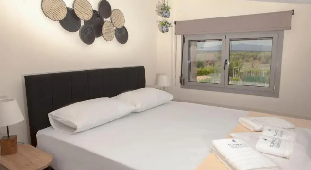 Люкс Deluxe Flamingo View Suites & Villas