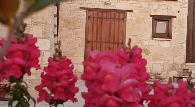Апартаменты Olympia Traditional Houses