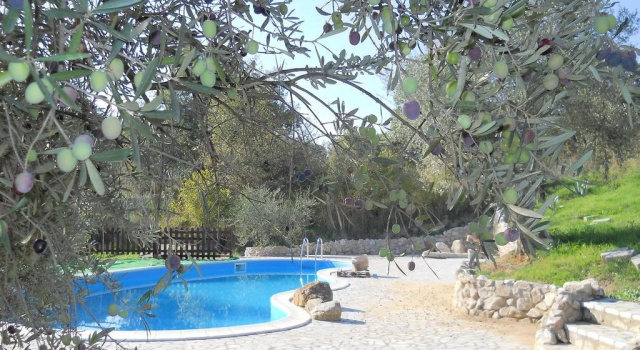 Mandria Del Dottore Toscano
