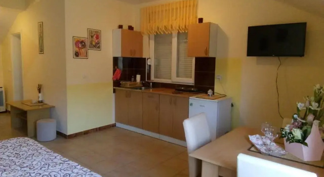 Студия Standard Apartment Vila MM Srce