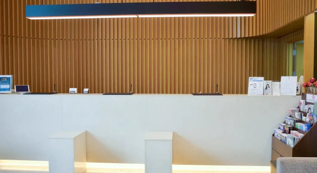 Sotetsu Hotels The Splaisir Seoul Dongdaemun