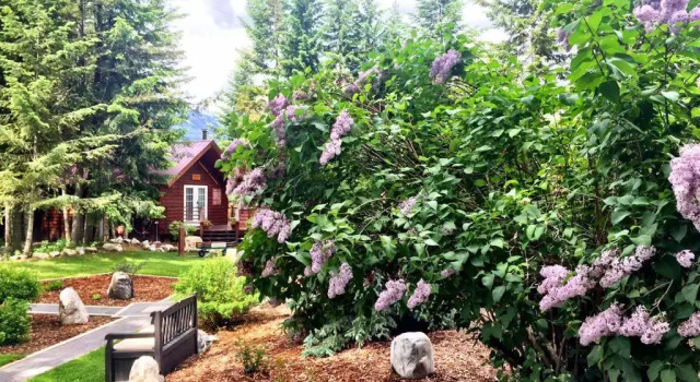 Шале Cedar House Restaurant & Chalets