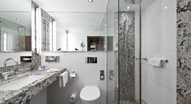 Семейный номер Superior Maritim Hotel Bad Homburg
