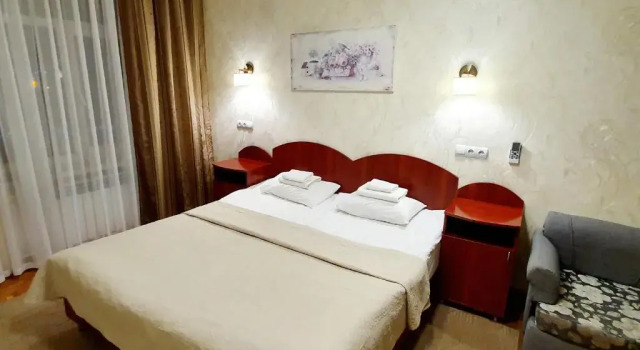 Номер Standard Hotel Sluch