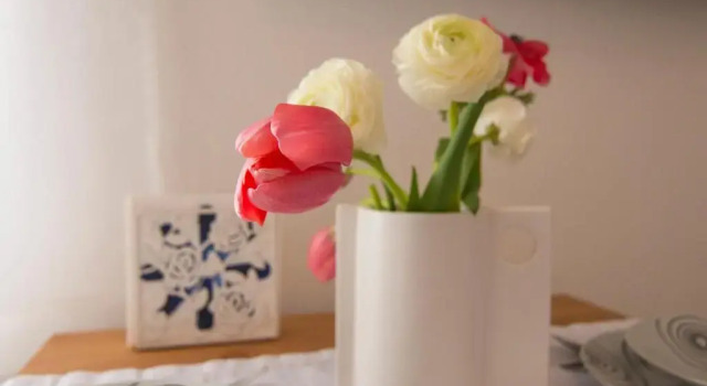 Апартаменты Apartment Padrenostro Zadar