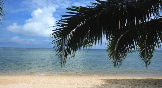 Номер Standard с балконом и рядом с пляжем Отель Paya Beach Spa & Dive Resort