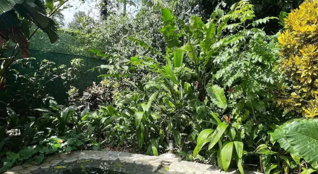 Вилла Luxury Geckoes Lodge