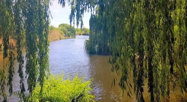 Sema River Lodge, Reservar Hotel Vereeniging Gauteng