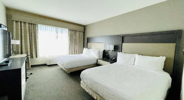 Четырёхместный номер Standard Best Western Plus Executive Residency Jackson Northeast