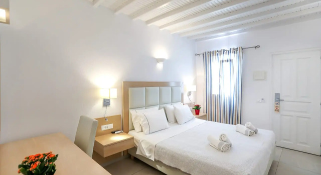 Двухместный номер Economy Petinaros Hotel