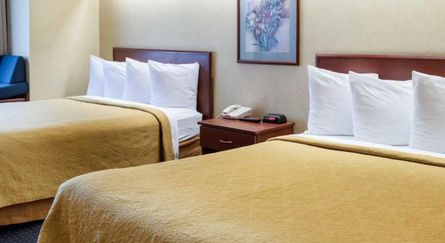 Четырёхместный номер Standard Quality Inn Chester - South Richmond