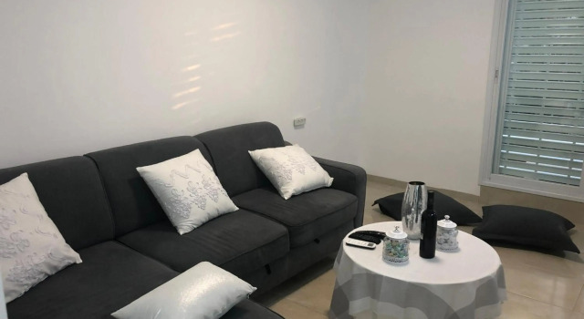The Urban Apartment
