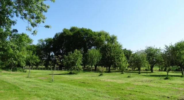 Номер Standard Moulin de reigner
