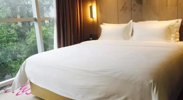 Двухместный номер Standard Lavande Hotel (Guangzhou Tianhe Park Yuancun Metro Station)