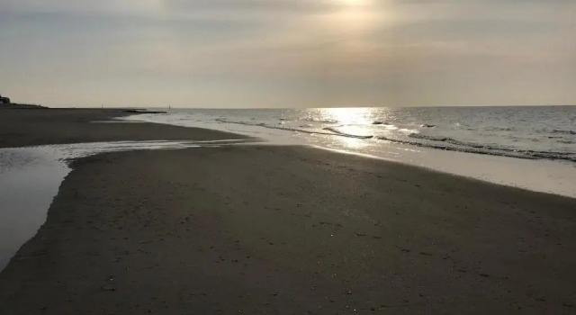 Апартаменты Dünenrose am Nordstrand