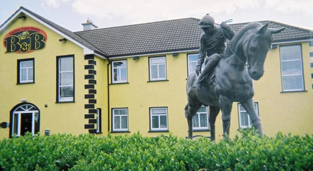 Carlow Guesthouse, Rezerwuj Hotel Carlow 