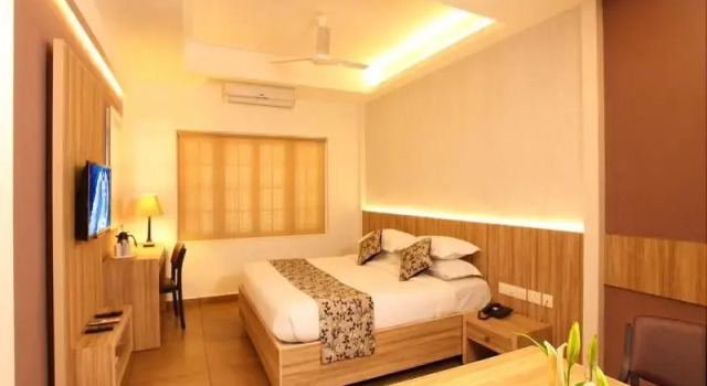 Номер Deluxe Hotel Luciya Palace