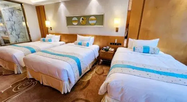 Номер Deluxe Menshine Gloria Plaza Hotel