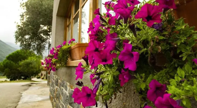 Oyo Hostal Montserrat, Забронировать Отель Монсень Montseny Natural Park