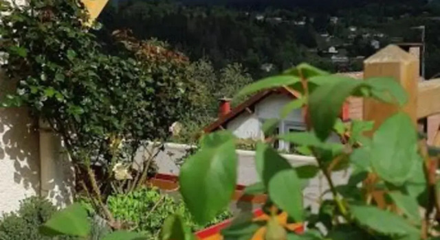 Gite Gérardmer, 2 pièces, 2 personnes - FR-1-589-52