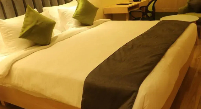 Двухместный номер Deluxe Regenta Central Harsha Vapi