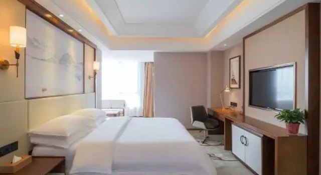 Люкс Deluxe Vienna International Hotel (Kaifeng Millennium City Park)