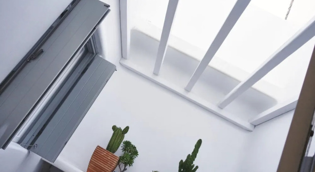 Ficus Villa Mykonos