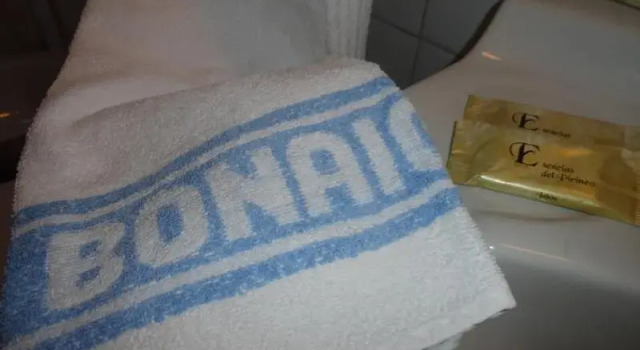 Номер Superior Hotel La Bonaigua