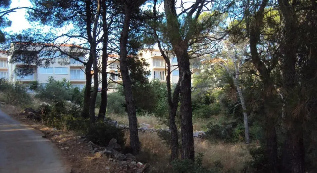 Студия Animari Apartments