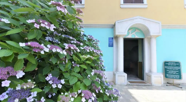 Апартаменты c 1 комнатой с красивым видом из окна Apartmani Villa Kontesa