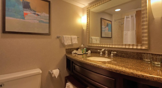 Двухместный Гостевой номер с диваном-кроватью Hilton Houston Westchase