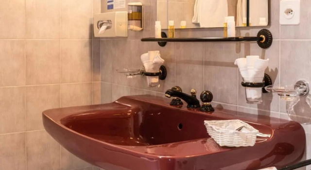 Полулюкс с видом на горы Typically Swiss Hotel Ermitage