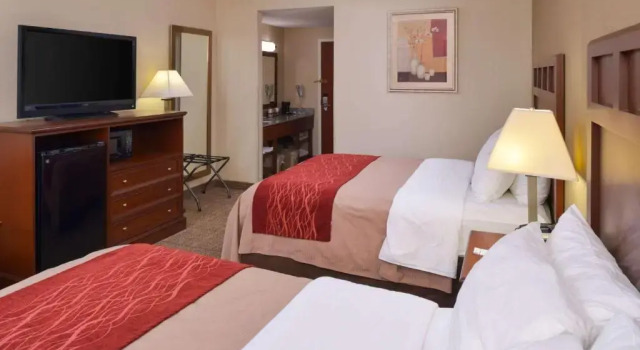 Четырёхместный номер Standard Comfort Inn Dickson