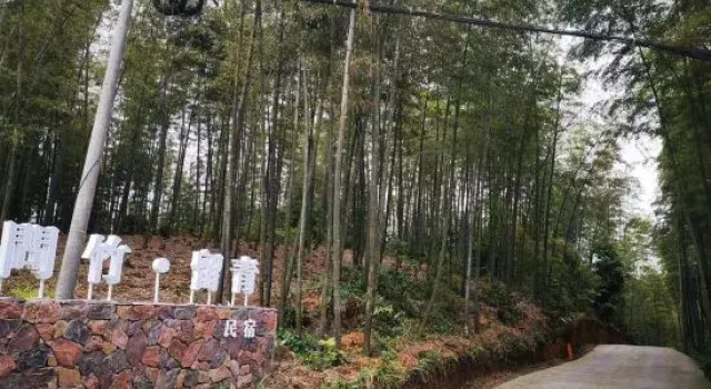 Southern Sichuan Bamboo Sea Wenzhu·Liuqing Homestay, Varaa Hotelli Hotellit Sichuan pysäköinnillä, Pysäköinti