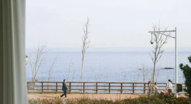 Люкс Deluxe Maple Seaview Holiday Homestay (Qingdao May Fourth Square Yan'erdaoshan Park)