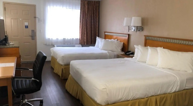 Четырёхместный номер Standard SureStay Plus Hotel by Best Western Albuquerque I40 Eubanks