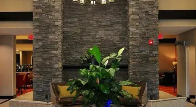 Четырёхместный номер Standard c 1 комнатой Homewood Suites - Doylestown
