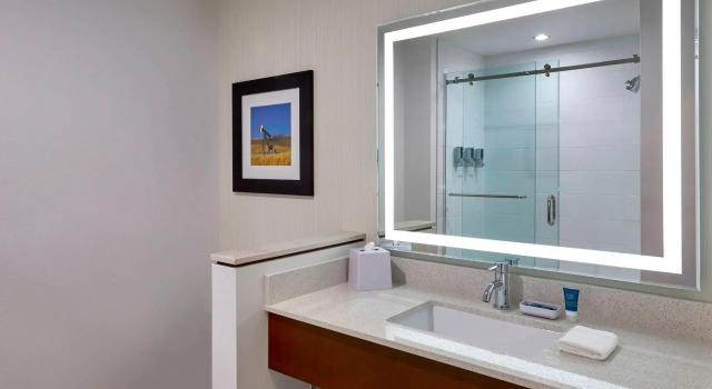 Четырёхместный номер Standard Four Points by Sheraton Grande Prairie